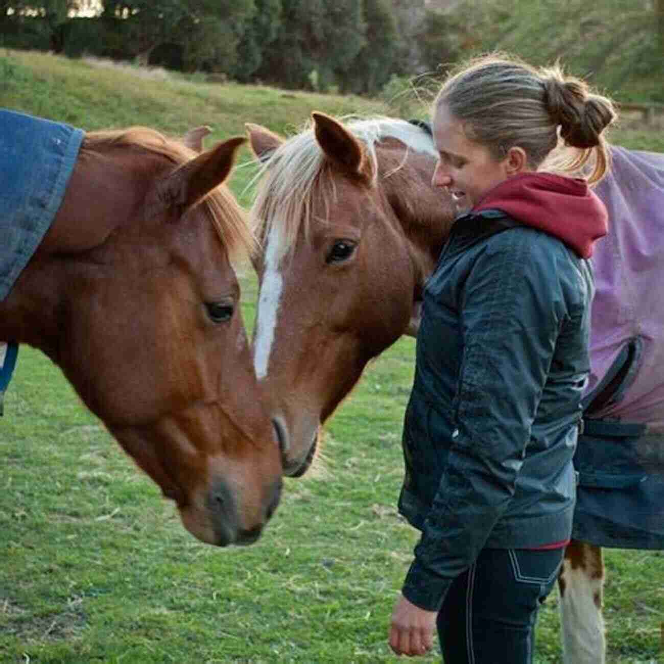 Kate Lattey The Amazing Equestrian With A Passion For Nine Lives Pony Jumpers Nine Lives: (Pony Jumpers #9) Kate Lattey