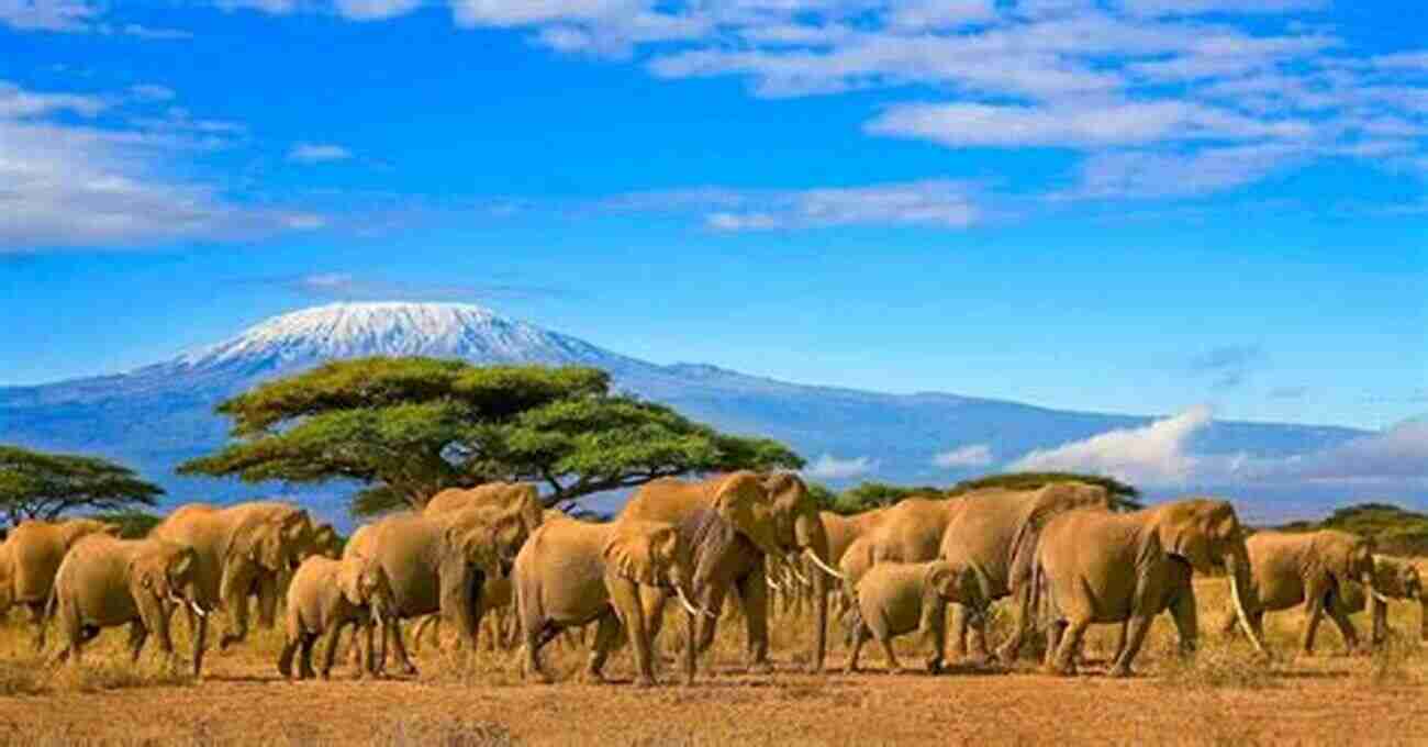 Kenya's Breathtaking Landscapes Kenya Travel Experience: Explore The Beauty Of Kenya: Kenya Tourism