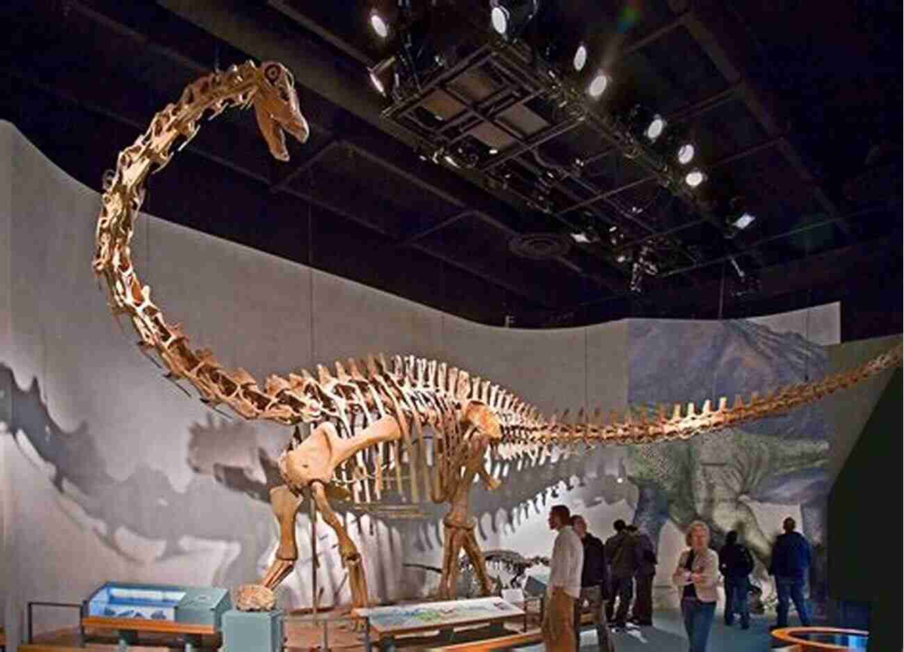 Long Necked Dinosaur Skeleton Found In The Desert Dinosaurs: 10 Things You Should Know