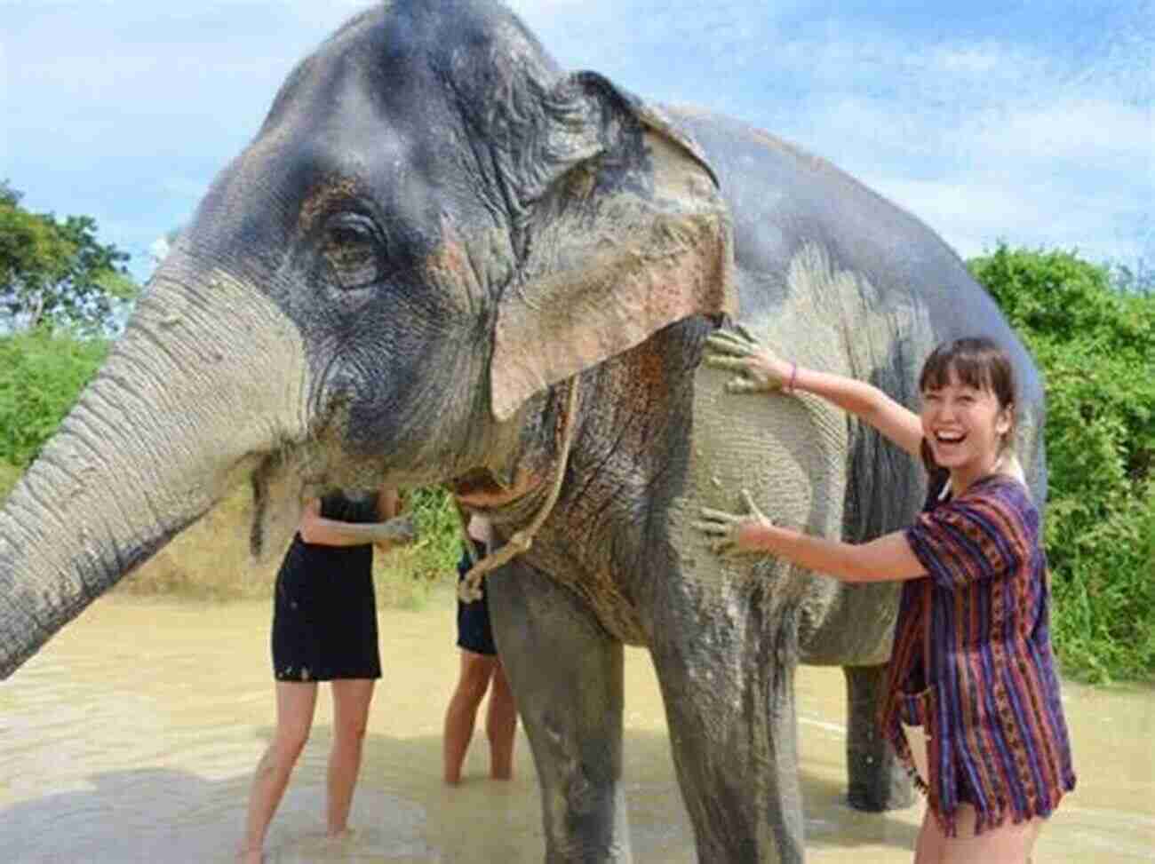 Magical Elephant Encounter In Pattaya Thailand During February 14, 2018 GW S 7 Magical Days In Pattaya Thailand: February 7 14 2018