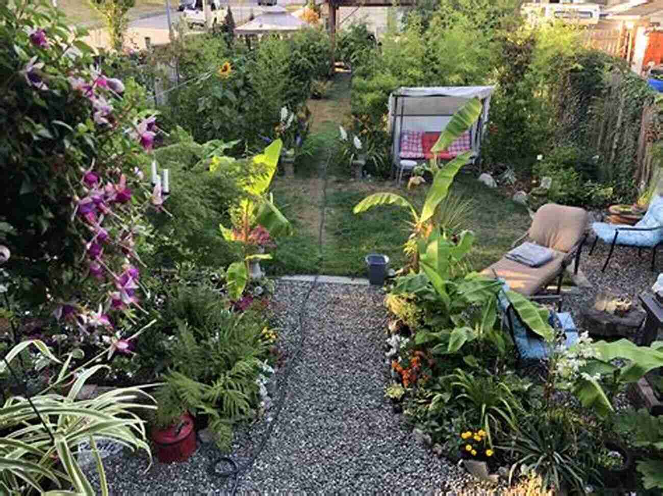 Mary Peterson Gardening In Her Stunning Backyard Oasis Dig In Mary Peterson