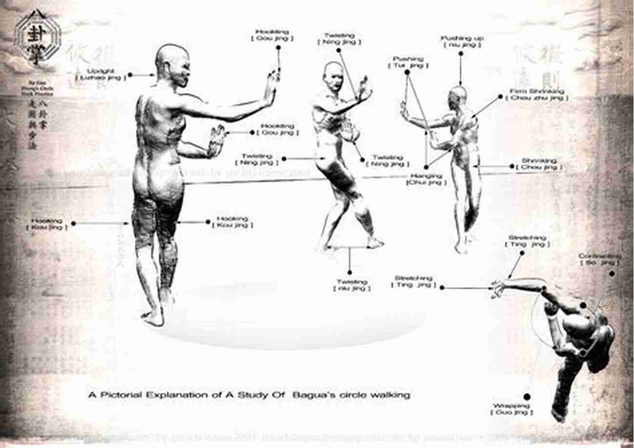 Master Demonstrating Bagua Quan Techniques Embrace The Circle Of Martial Arts The Study Of Bagua Quan