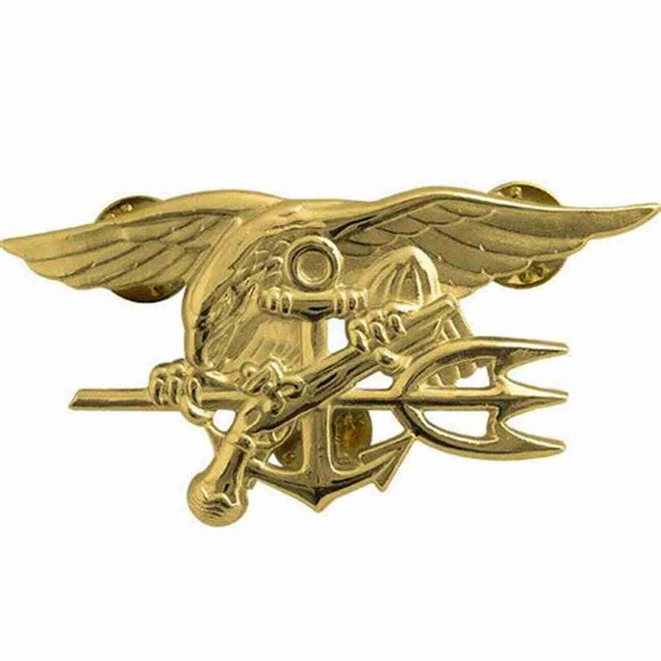 Navy Seal Mission The Trident: The Forging And Reforging Of A Navy SEAL Leader