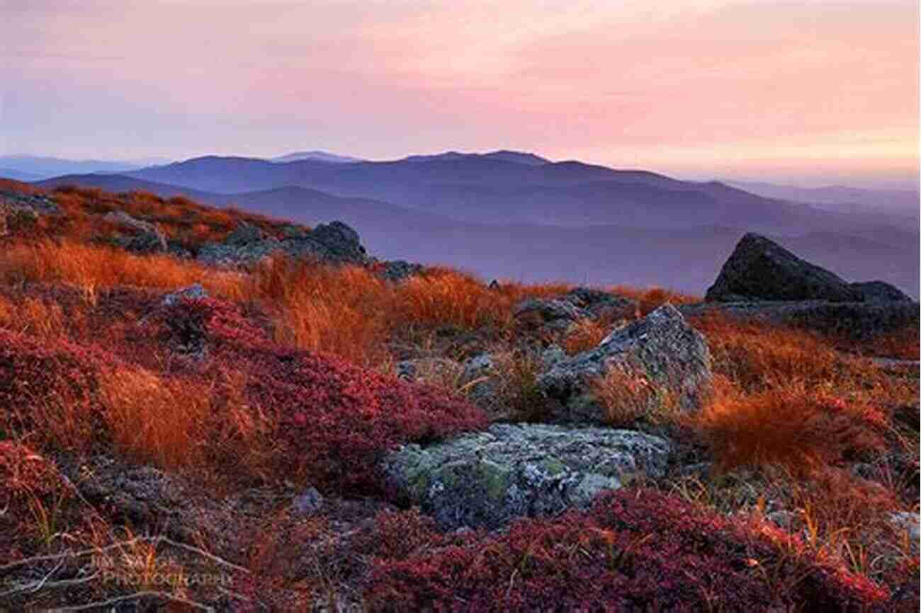 New England Alpine Summit Field Guide To The New England Alpine Summits: Mountaintop Flora And Fauna In Maine New Hampshire And Vermont