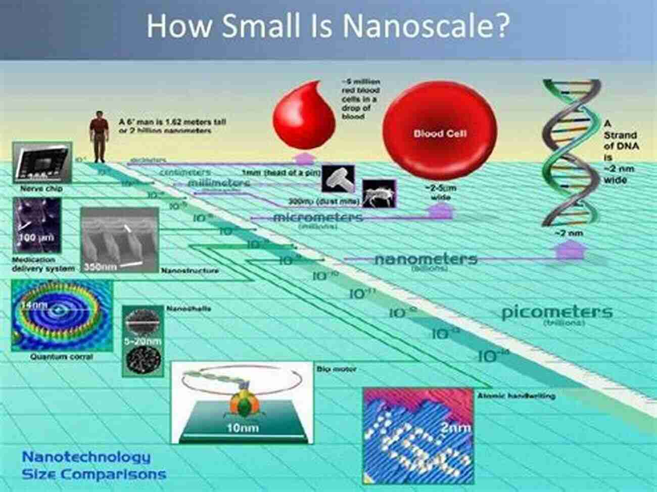 Paving The Way For The Future Of Nanoscience And Nanotechnology Nanowires: Building Blocks For Nanoscience And Nanotechnology (NanoScience And Technology)