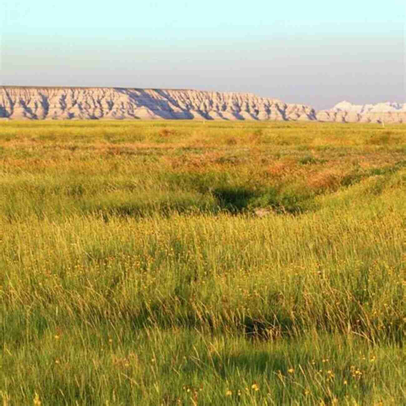 Precision Agriculture For Arid And Semiarid Lands Advances In Food Producing Systems For Arid And Semiarid Lands Part A (International Symposium Of The Kuwait Foundation)