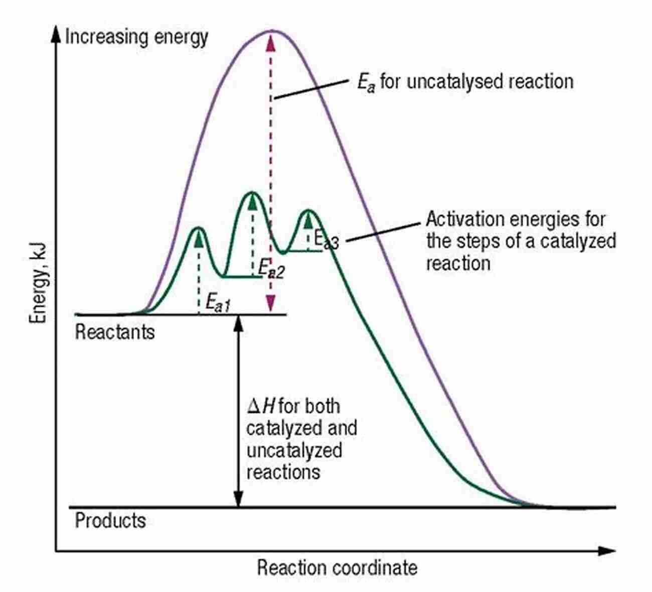 Probing The Surface Dynamic Chemical Processes On Solid Surfaces: Chemical Reactions And Catalysis