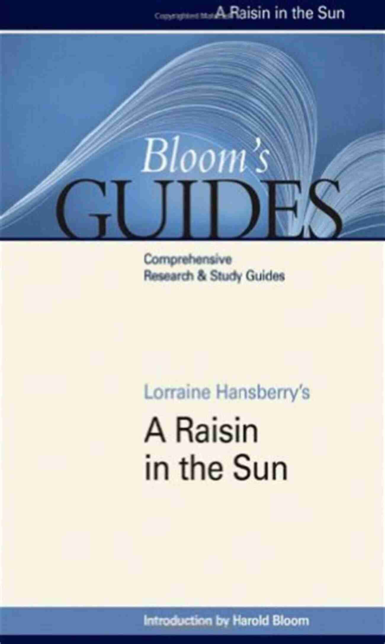 Raisin In The Sun Bloom Guides Hardcover A Raisin In The Sun (Bloom S Guides (Hardcover))