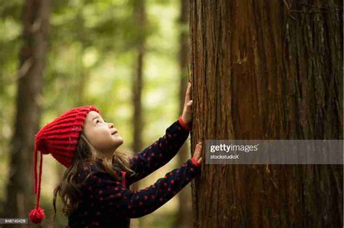 Rekindling Our Bond With Nature The Practice Of The Wild: Essays