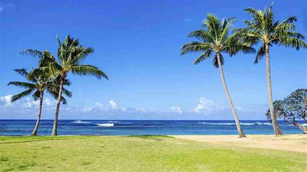 Relax On Kauai's Stunning Beaches And Soak In The Sun Traveling To The Island Of Kauai Hawaii (Travelers 5)