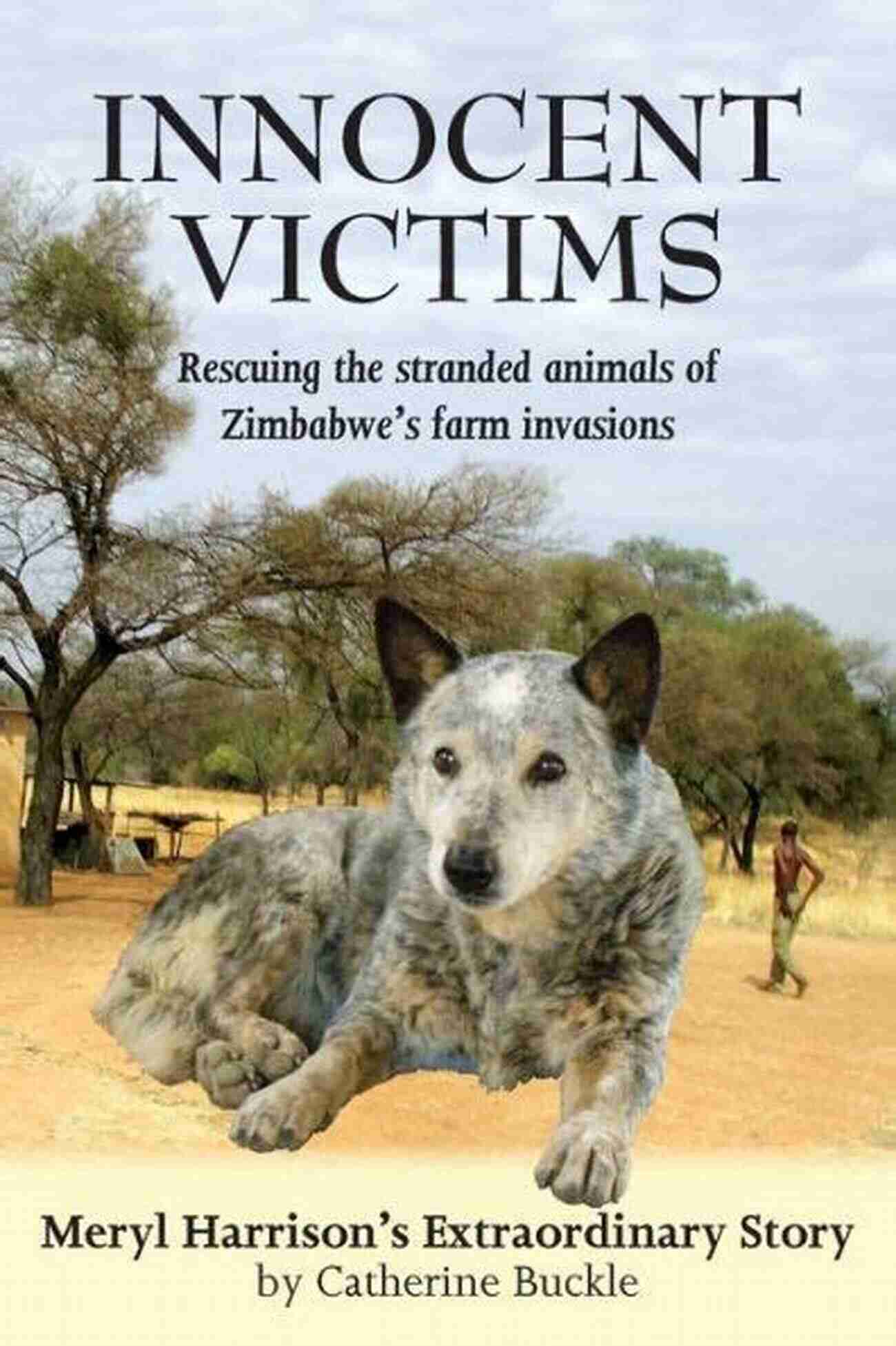 Rescuing The Stranded Animals Of Zimbabwe Farm Invasions Innocent Victims: Rescuing The Stranded Animals Of Zimbabwe S Farm Invasions