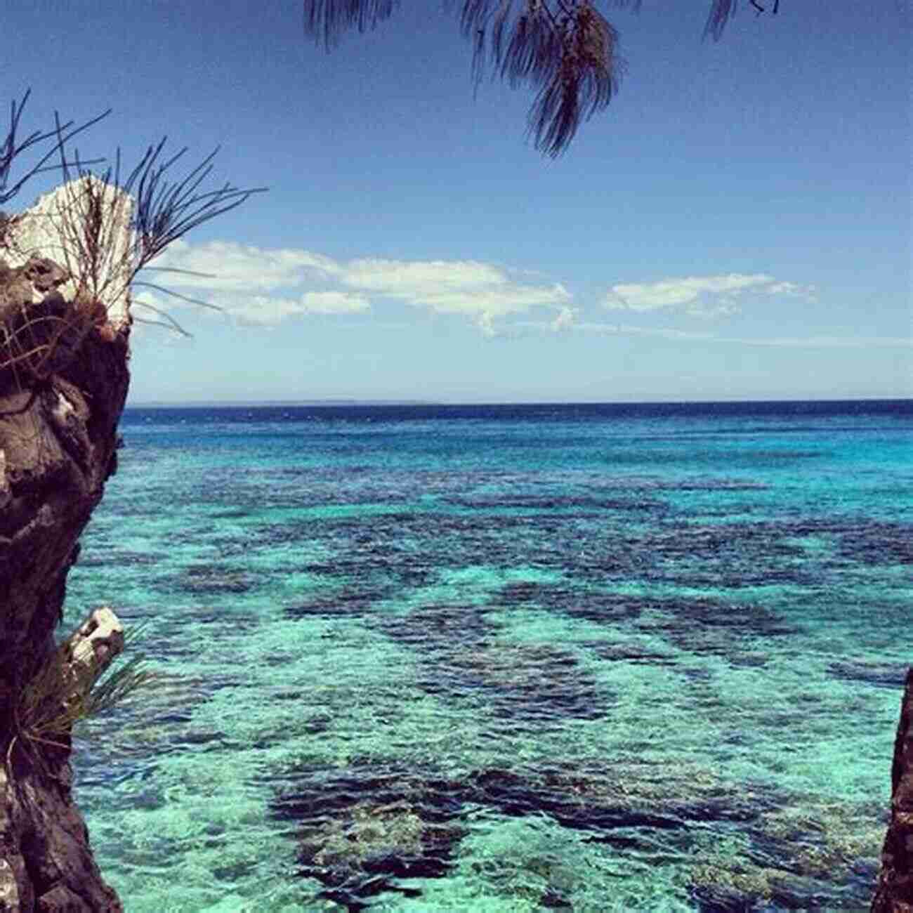 Riding The Waves Of Vanuatu's Breathtaking Coastline The Stormrider Surf Guide Pacific Ocean: Surfing In New Zealand Hawaii PNG Solomon Islands Micronesia Vanuatu Fiji Tahiti Moorea Samoa Tonga Nui And More (Stormrider Surfing Guides)