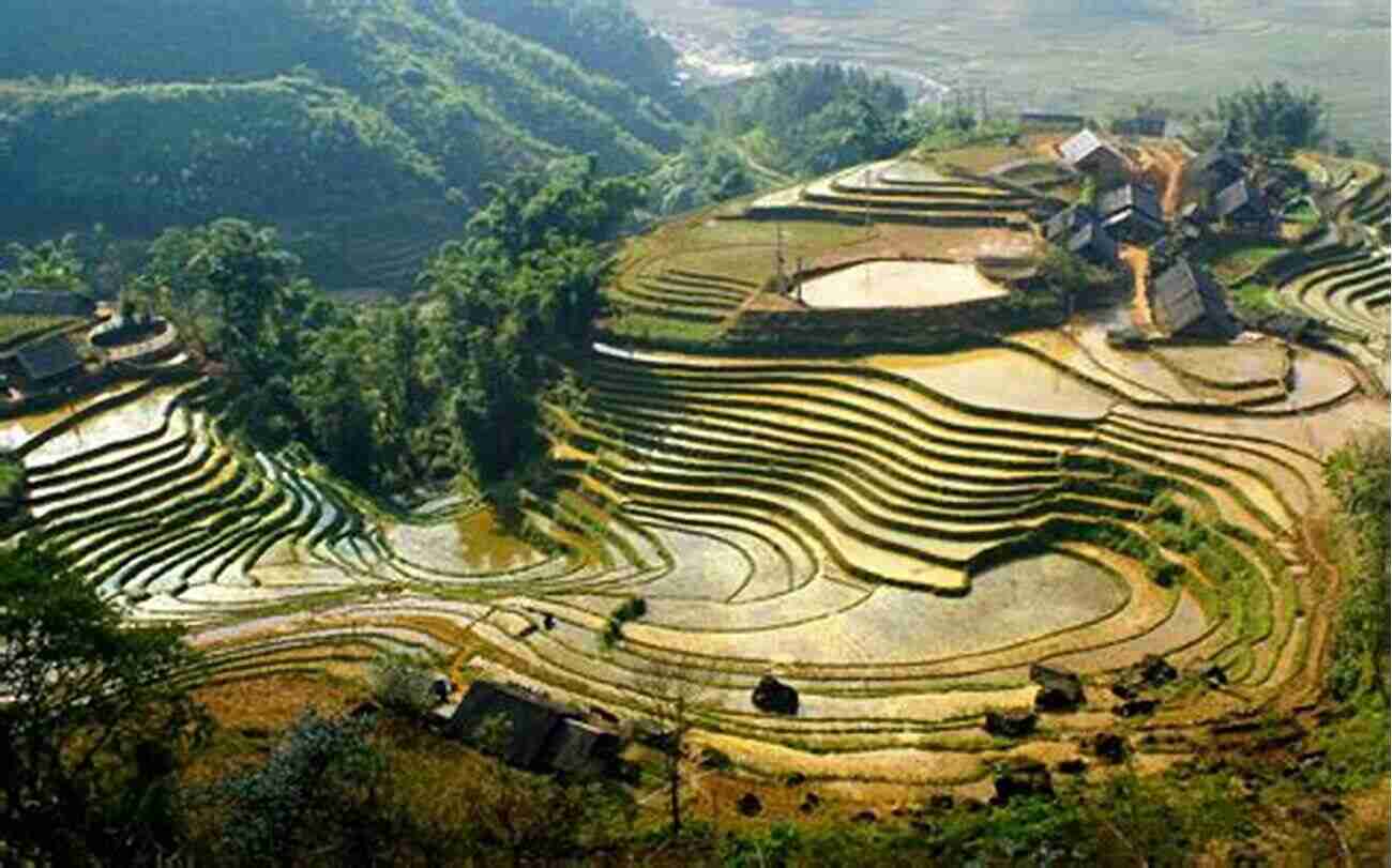 Sa Pa Terraces Breathtaking Terraced Rice Fields Nestled In The Rugged Mountains Of Northern Vietnam Vietnam: Sights Uncovered: Barbara I Bond