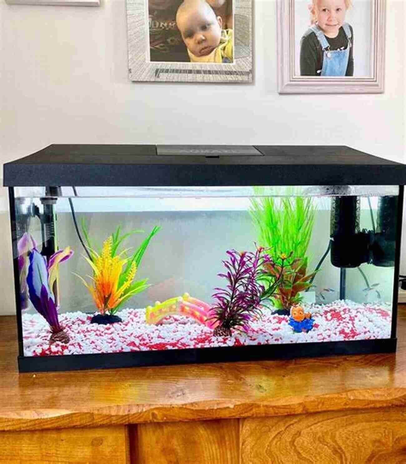 Setting Up A Tropical Aquarium Seriously Fishy: A No Nonsense Beginners Guide To Your First Tropical Aquarium