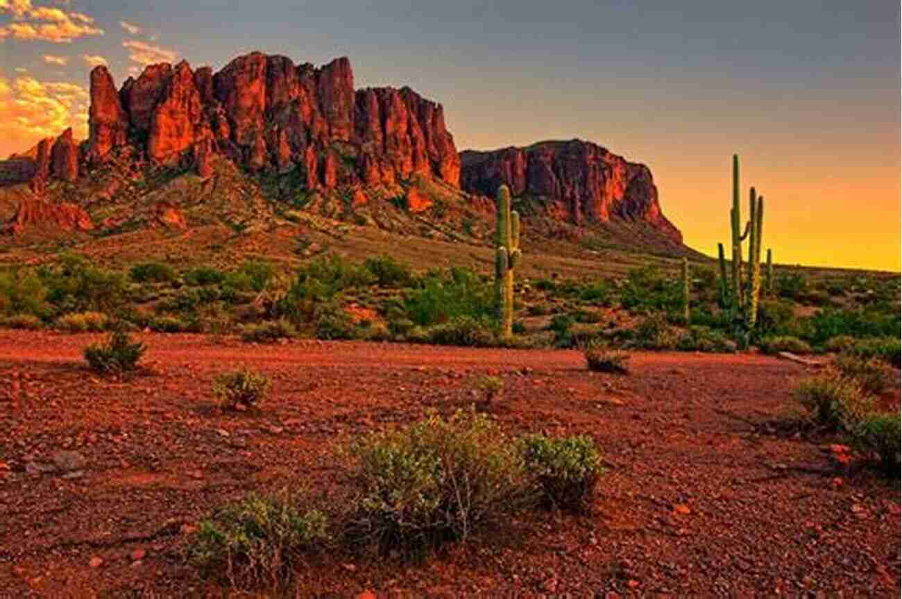 Southwest Desert Sunset Desert Life: A Guide To The Southwest S Iconic Animals Plants And How They Survive