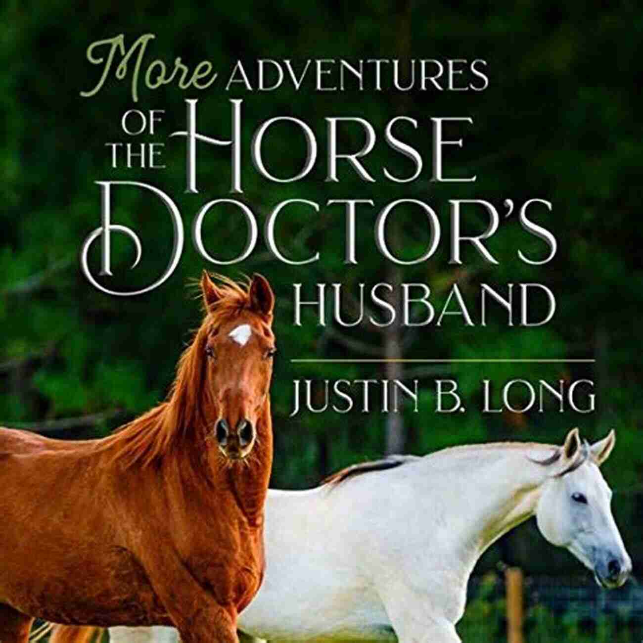 The Adventure Continues: Ongoing Stories Of The Horse Doctor Husband Adventures Of The Horse Doctor S Husband