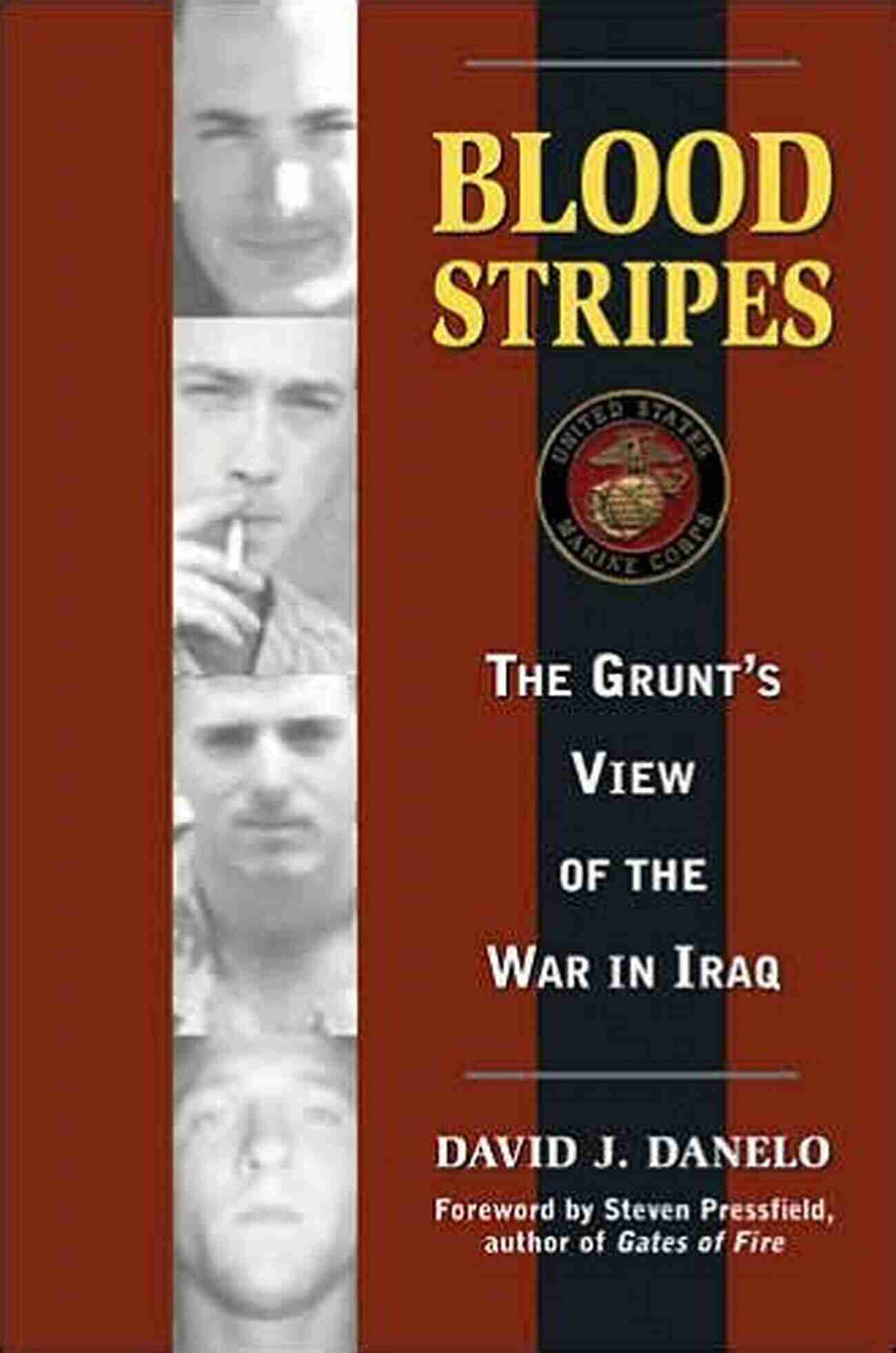 The Grunt View Of The War In Iraq Blood Stripes: The Grunt S View Of The War In Iraq