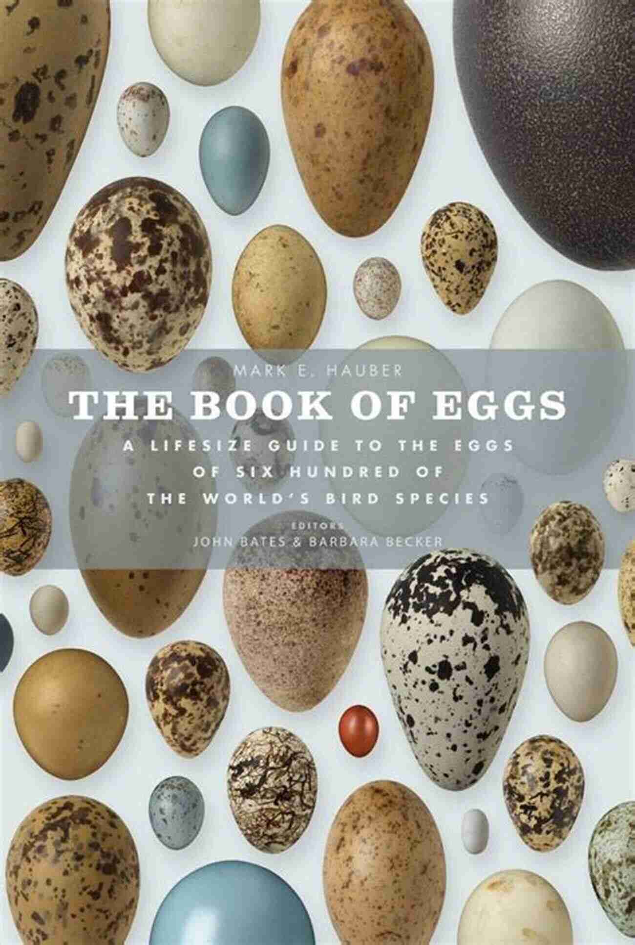 The Lifesize Guide To The Eggs Of Six Hundred Of The World Bird Species The Of Eggs: A Lifesize Guide To The Eggs Of Six Hundred Of The World S Bird Species (Book Of Series)