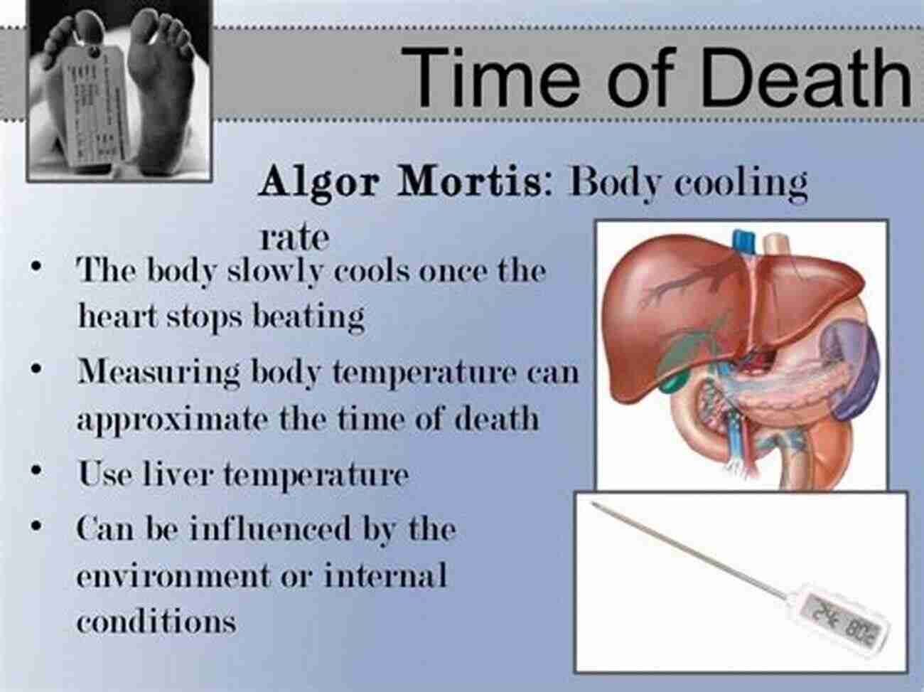 The Process Of Determining Time Of Death Using Nature Forensics Corpse: Nature Forensics And The Struggle To Pinpoint Time Of Death