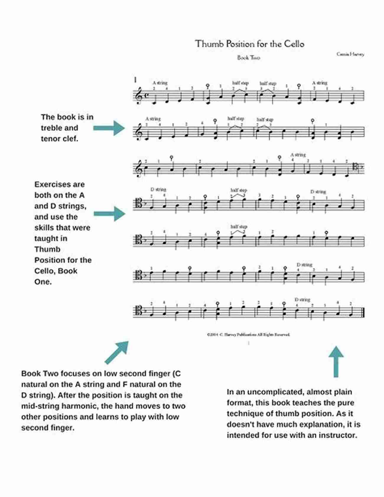 Thumb Position For Cello Mastering The Perfect Technique Thumb Position For Cello 1