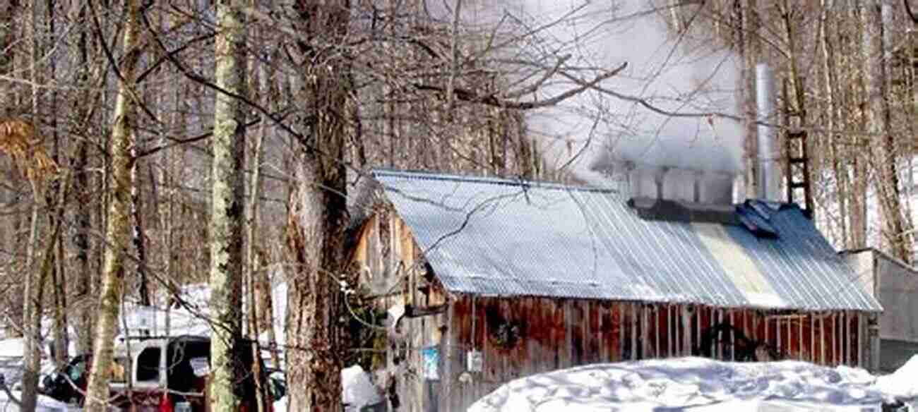 Traditional Maple Sugaring Process In Vermont Meanings Of Maple: An Ethnography Of Sugaring (Food And Foodways)