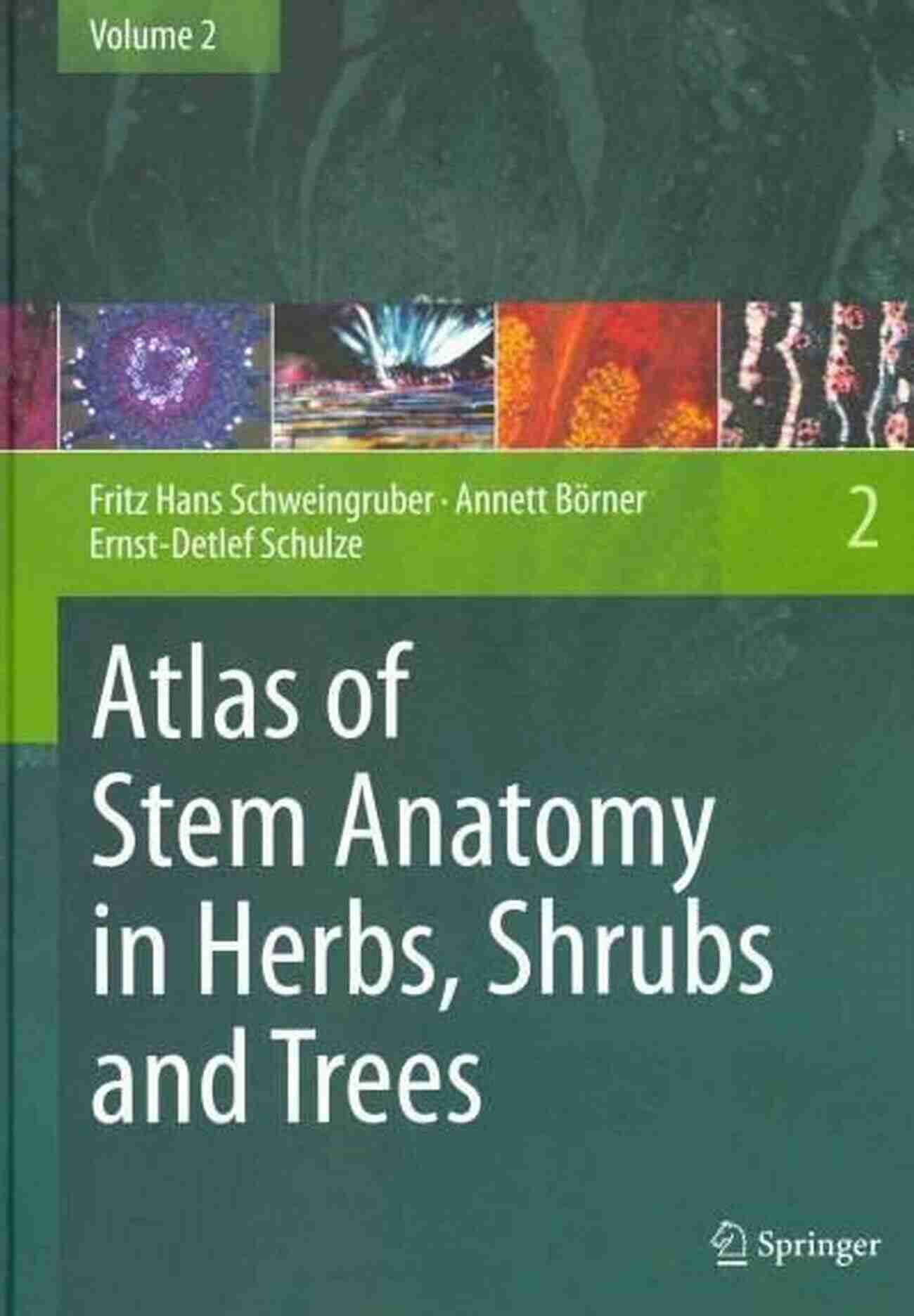 Tree Rings Illustration Atlas Of Stem Anatomy In Herbs Shrubs And Trees: Volume 1