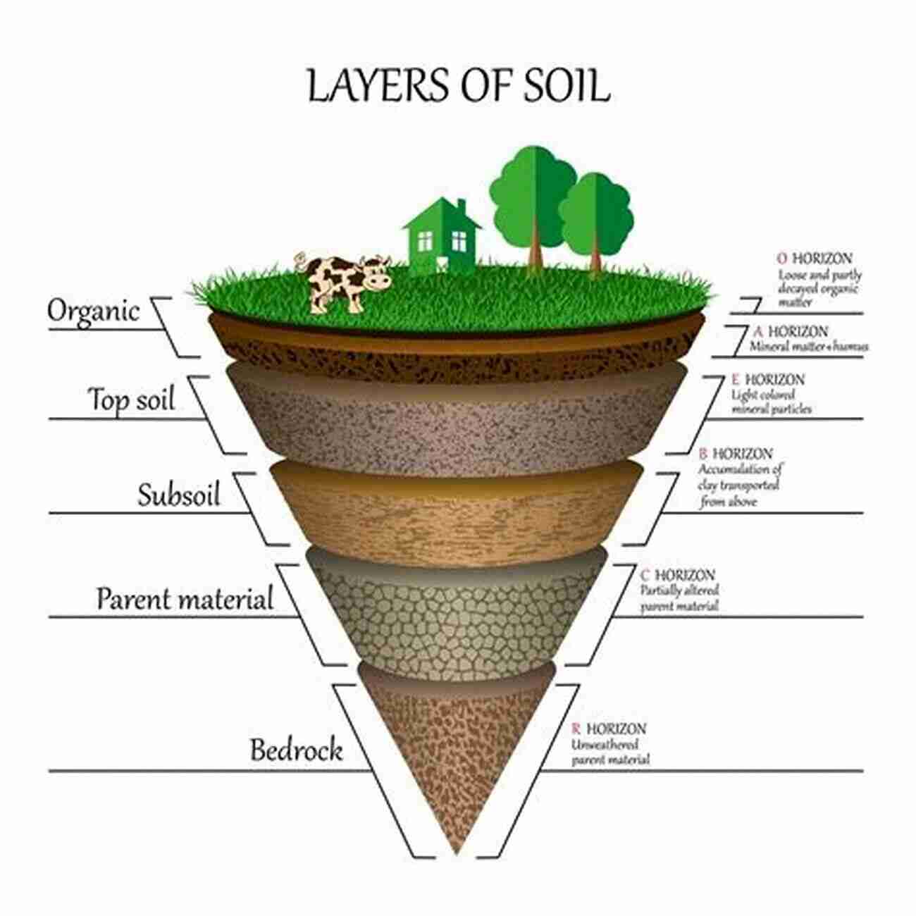 Understanding The Intricate Soil Processes Soil Processes And Water Quality (Advances In Soil Science)