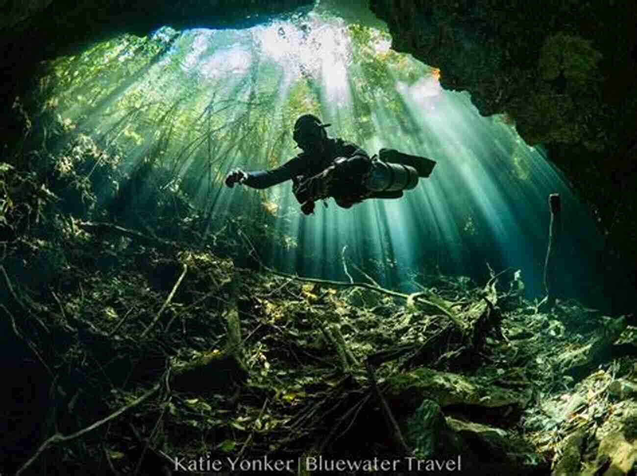 Underwater Wonders Diving Into The Deep A Life Of Extremes: The Life And Times Of A Polar Filmmaker