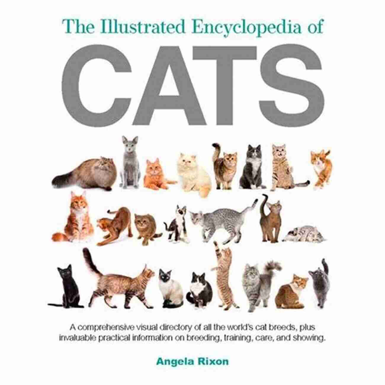 Various Cat Breeds A Visual Representation Of Different Cat Breeds Featured In The Encyclopedia The Cat Encyclopedia: The Definitive Visual Guide