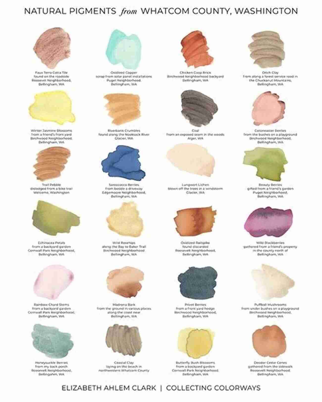 Various Colorful Paint Pigments Pigment Compendium Matthew Ziem