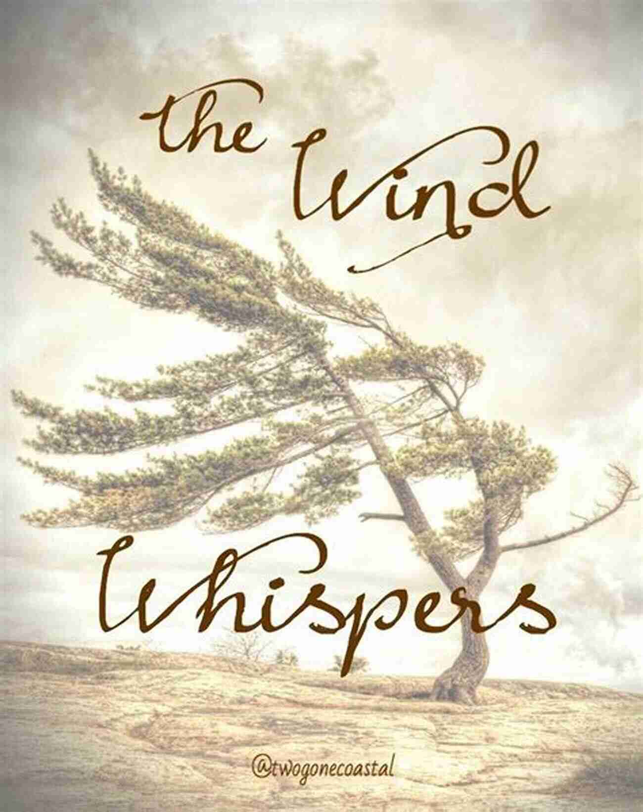 Whispers In The Wind A Solitary Figure Standing On A Cliff, Watching As The Wind Whispers Through The Trees. MY POEMS Eric Luper