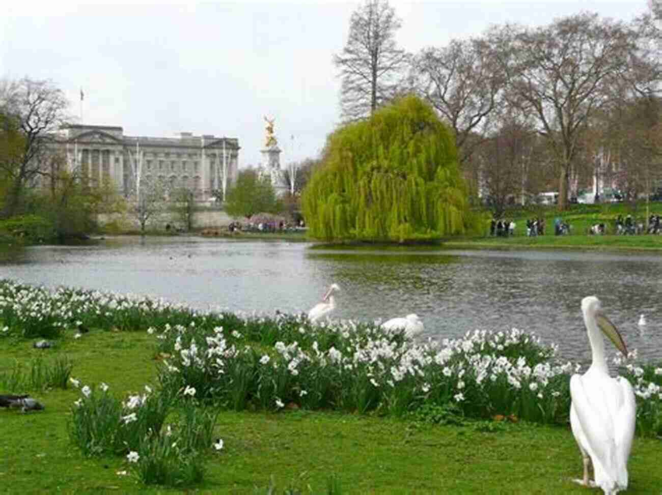 Buckingham Palace And Surrounding Gardens The Top 20 Best Beautiful Scenery In London Photo Gallery: 30 Minutes To See The World