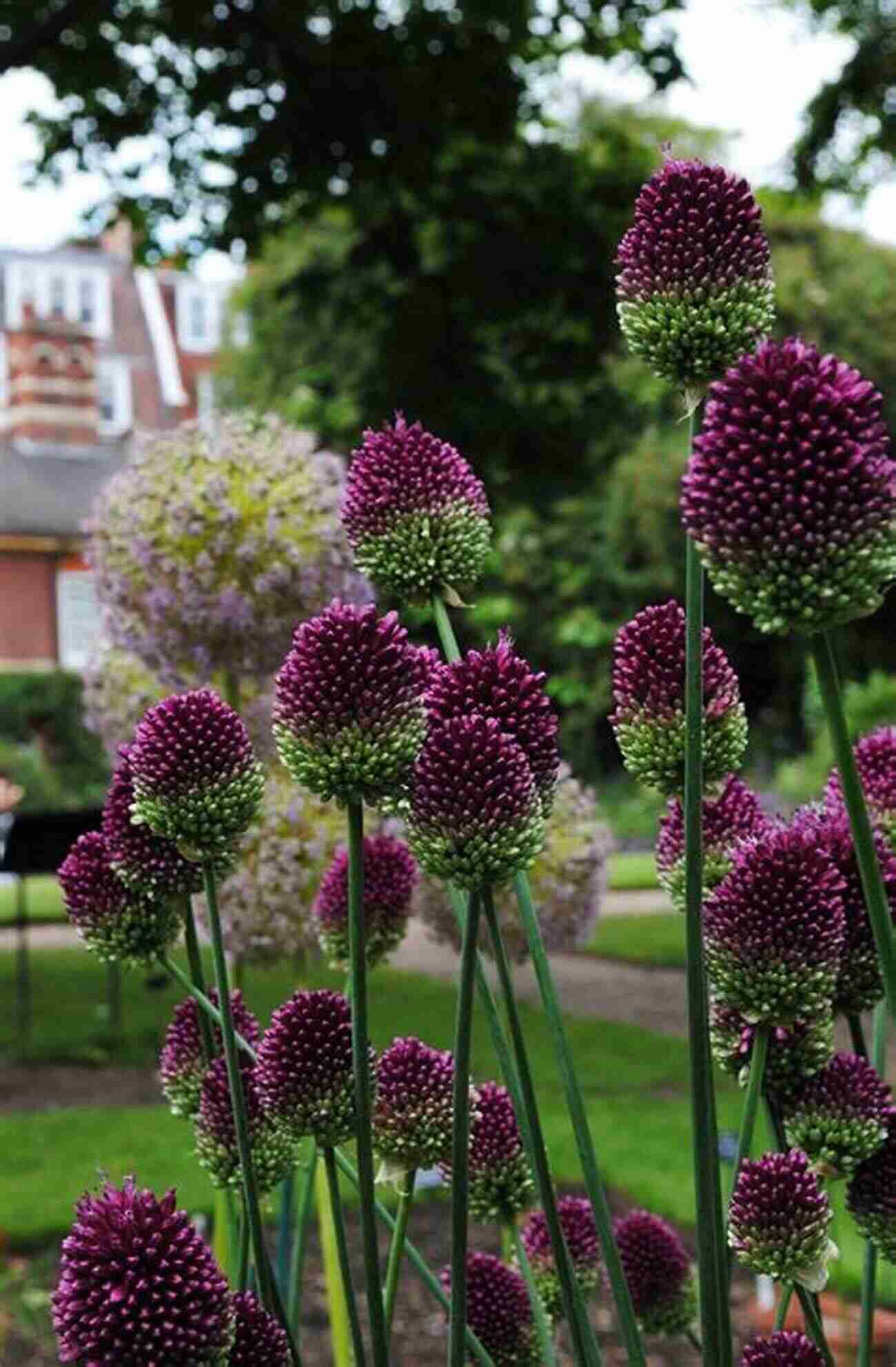 Chelsea Physic Garden Blooming Flowers The Top 20 Best Beautiful Scenery In London Photo Gallery: 30 Minutes To See The World