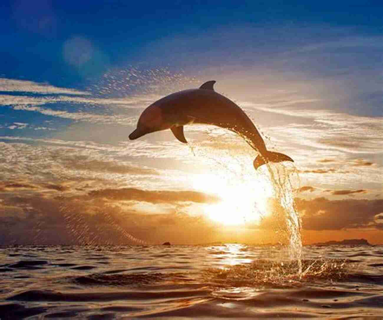 Dolphin Jumping Out Of The Water Playfully The Minds And Manners Of Wild Animals A Of Personal Observations