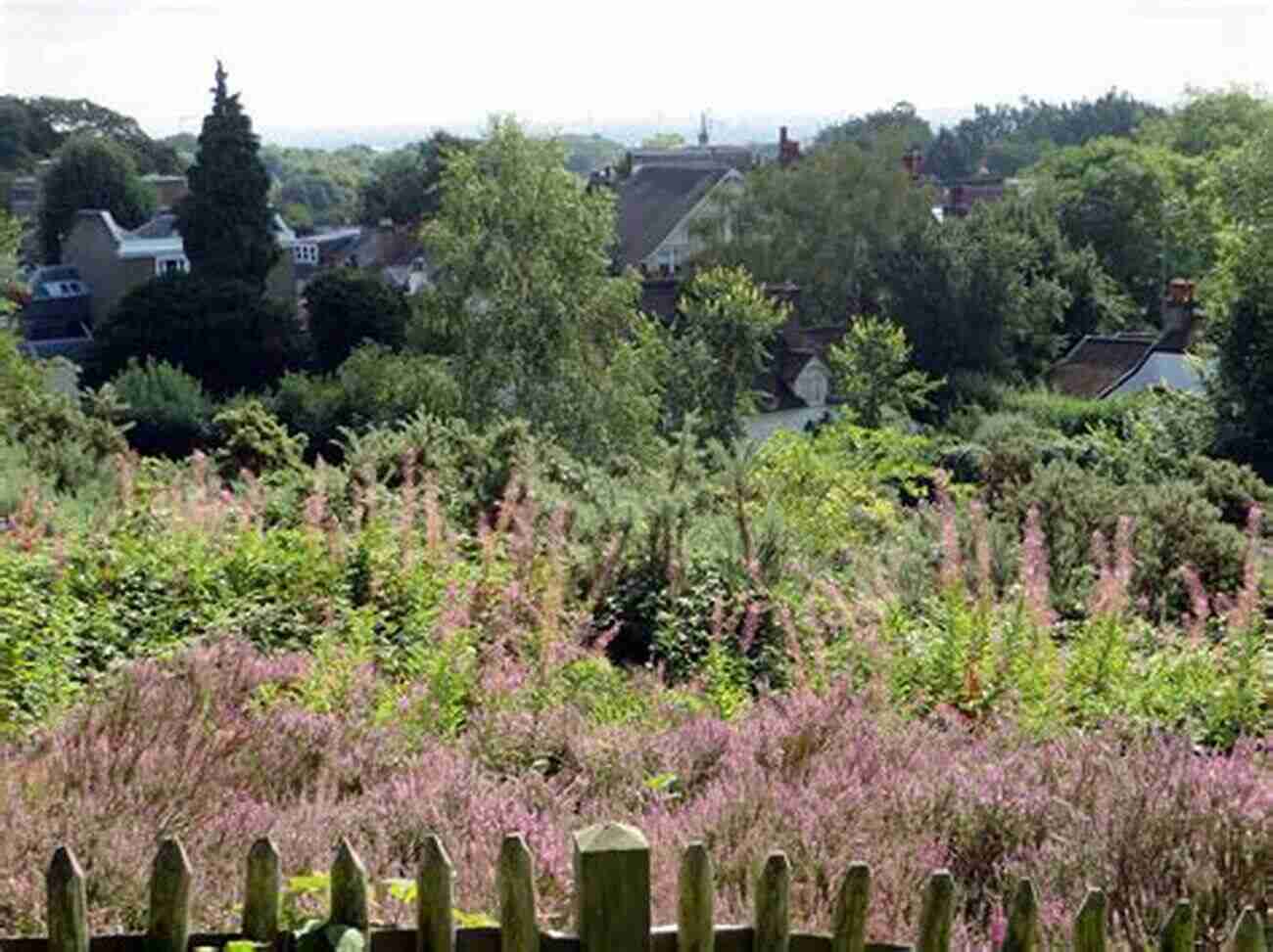 Hampstead Heath Hilltop View The Top 20 Best Beautiful Scenery In London Photo Gallery: 30 Minutes To See The World