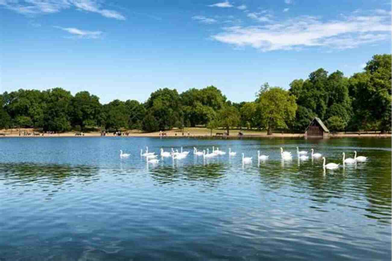 Hyde Park Serene Lake The Top 20 Best Beautiful Scenery In London Photo Gallery: 30 Minutes To See The World