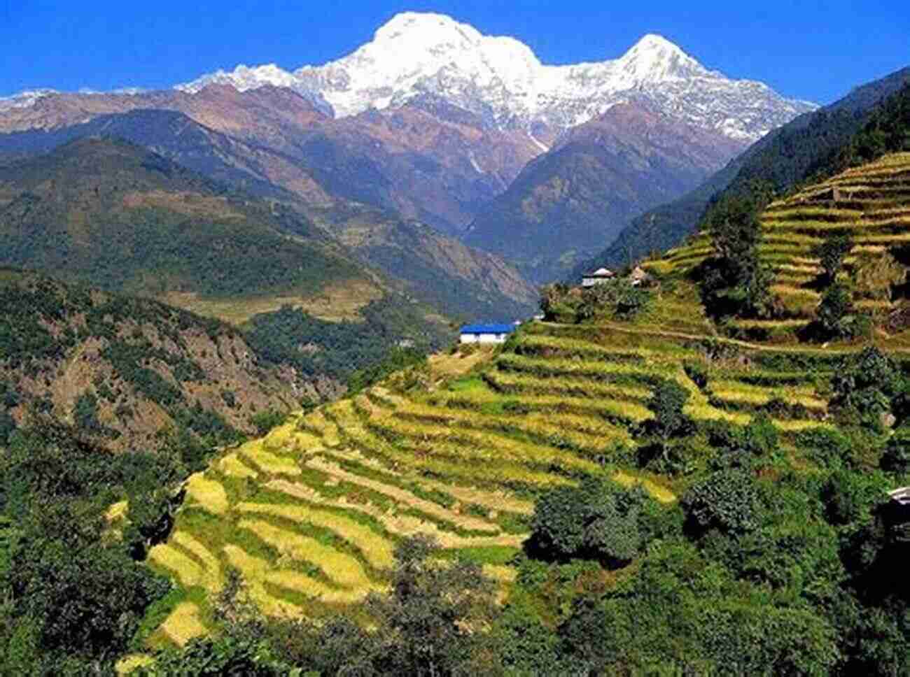 Stunning Landscape Of Nepal Naked In Nepal: A Young Woman S Journey