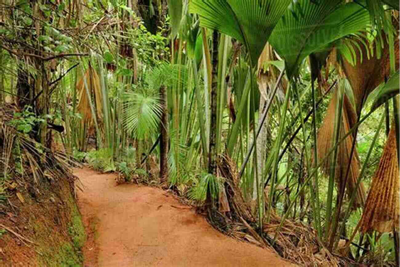 Vallée De Mai Nature Reserve Seychelles Travel Guide: With 100 Landscape Photos