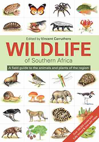 The Wildlife Of Southern Africa: A Field Guide To The Animals And Plants Of The Region