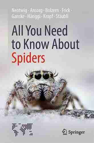 All You Need To Know About Spiders