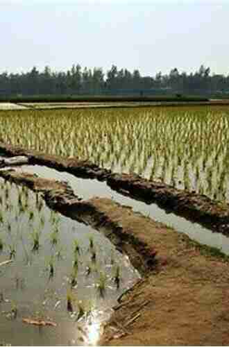 The Soils of Bangladesh (World Soils 1)