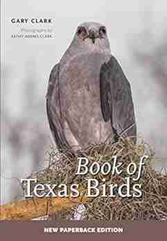 of Texas Birds Gary Clark