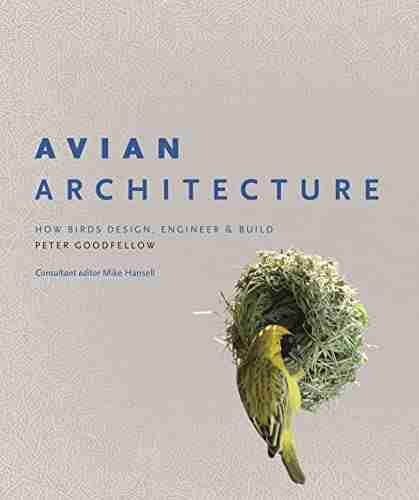 Avian Architecture: How Birds Design Engineer and Build