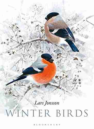 Winter Birds Lars Jonsson