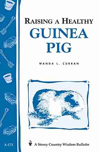 Raising a Healthy Guinea Pig: Storey s Country Wisdom Bulletin A 173 (Storey Country Wisdom Bulletin)