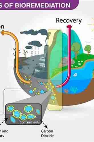 Bioremediation of Wastewater: Factors and Treatment