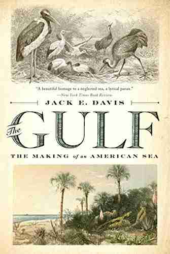 The Gulf: The Making Of An American Sea