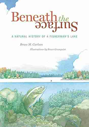 Beneath The Surface: A Natural History Of A Fisherman S Lake