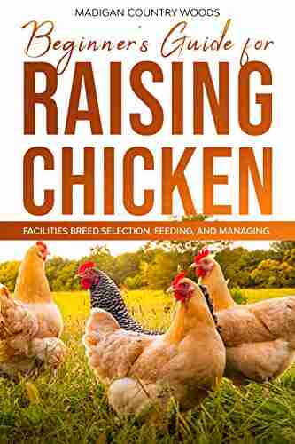 Beginner s guide for RAISING CHICKEN: FACILITIES BREED SELECTION FEEDING AND MANAGING