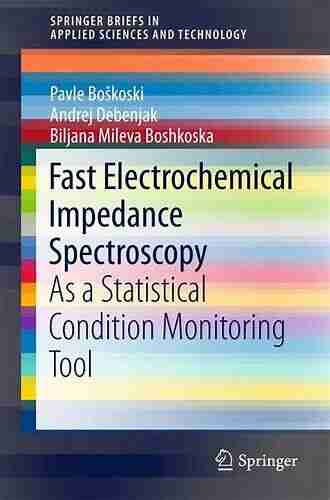 Fast Electrochemical Impedance Spectroscopy: As a Statistical Condition Monitoring Tool (SpringerBriefs in Applied Sciences and Technology)